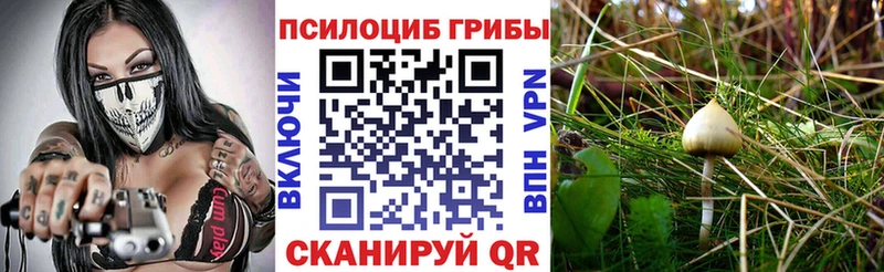 Галлюциногенные грибы Cubensis  продажа наркотиков  Большой Камень 